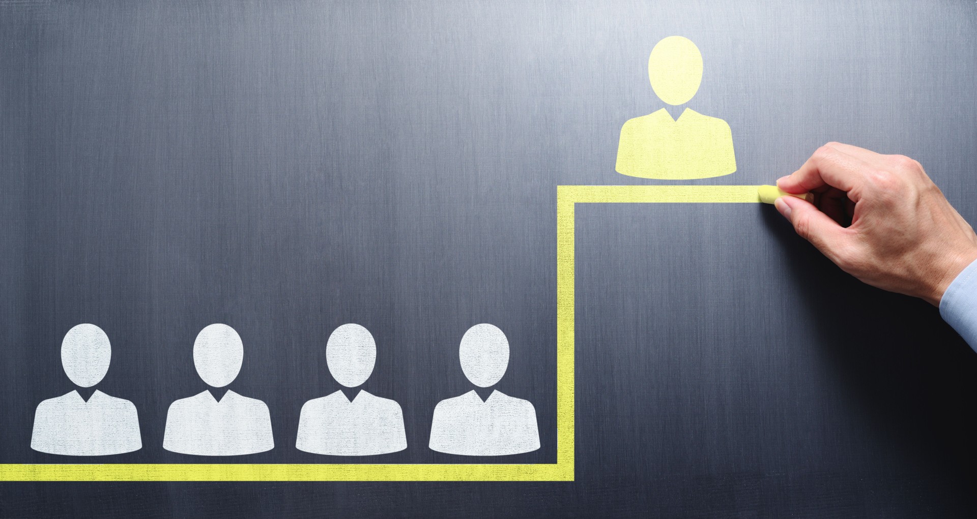 Career development and differentiation. Team and Leader.